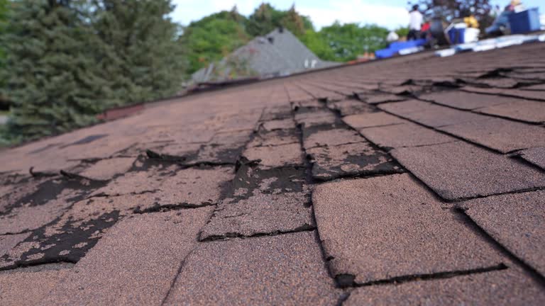 Best Commercial Roofing Services  in St Clair, MI