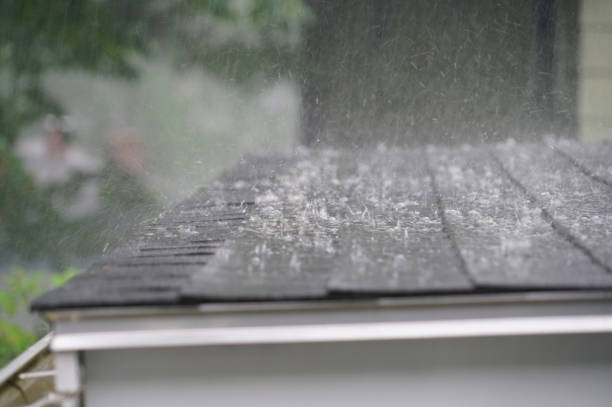 Best Roof Ventilation Installation  in St Clair, MI