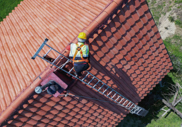 Best Asphalt Shingles Roofing  in St Clair, MI
